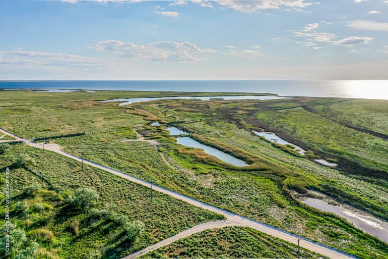 Остров Бирючий