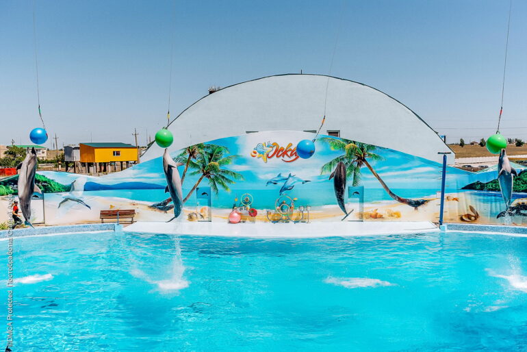 Дельфинарий «Оскар»