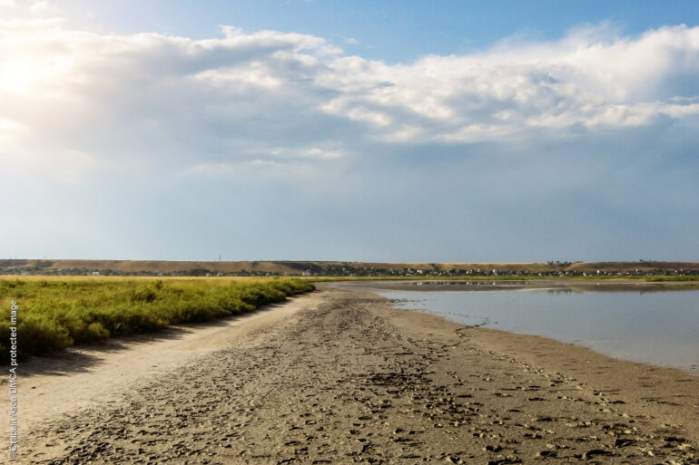 Лиман с грязями в Бердянске