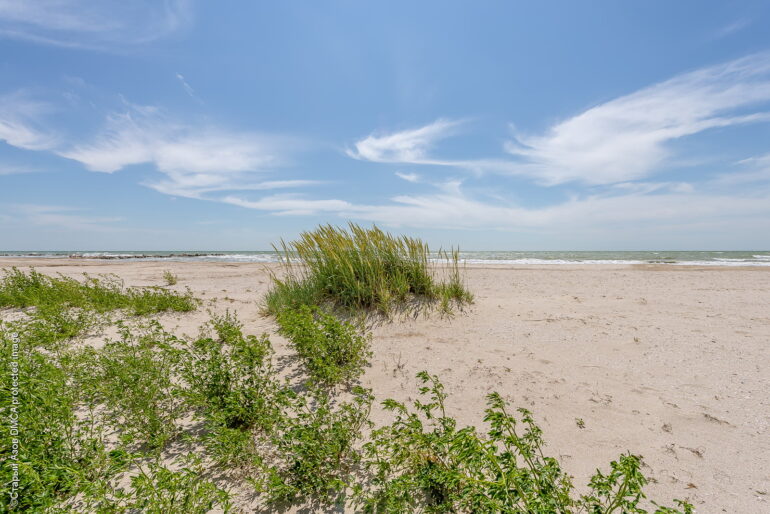 Азовское побережье в Приморске