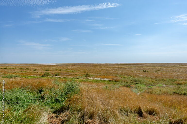 Окрестности Приморска